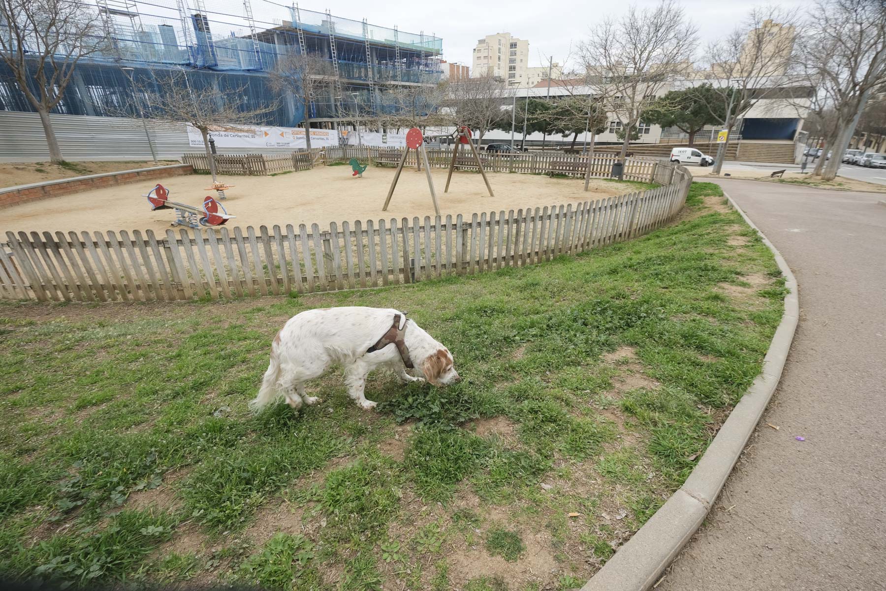 Parque de la Libertad correcan perros mascotas. Foto: R.Gallofré