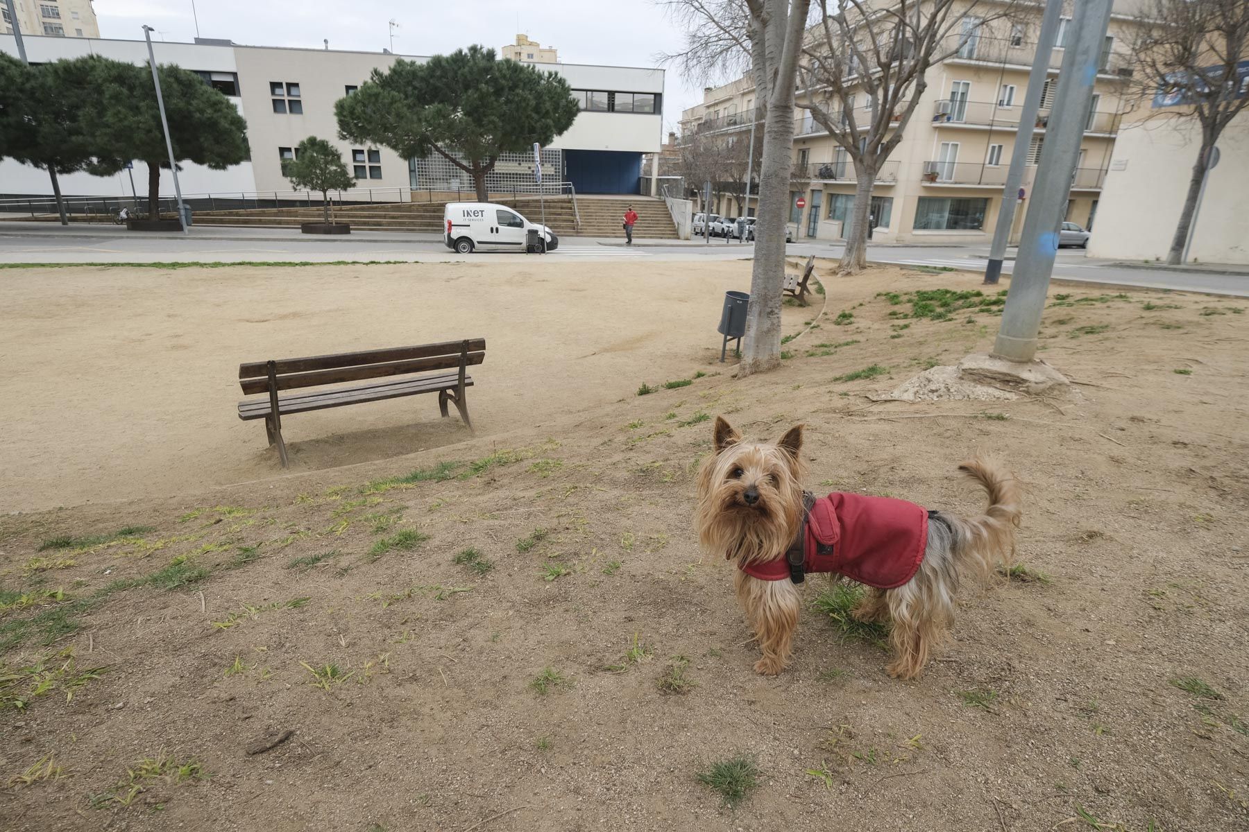 Parque de la Libertad correcan perros mascotas. Foto: R.Gallofré