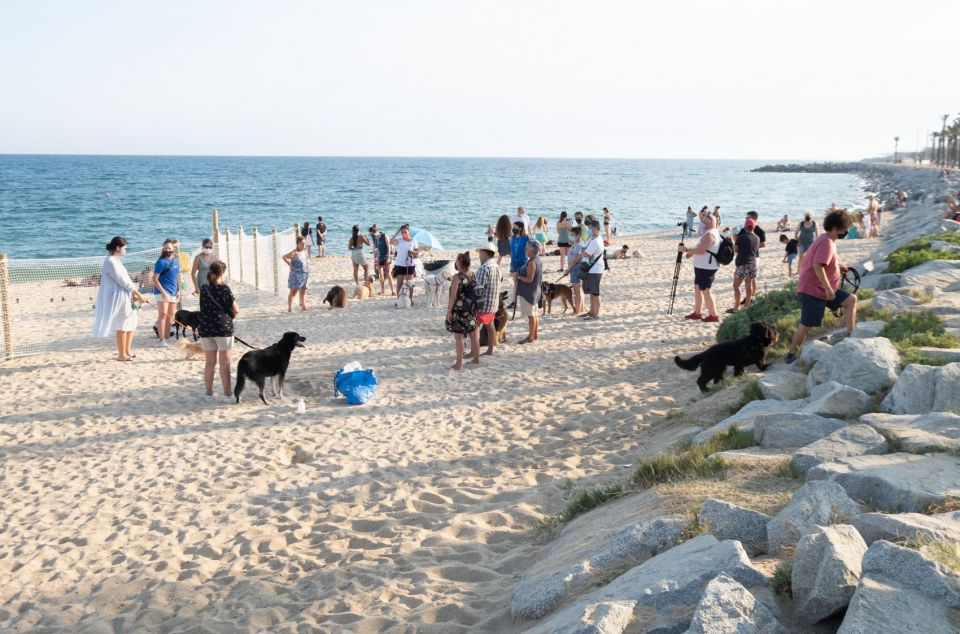 La platja per a gossos de Mataró. Foto: R. Gallofré