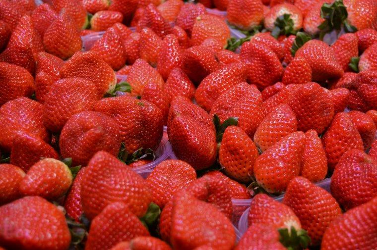 Fresas del Maresme.