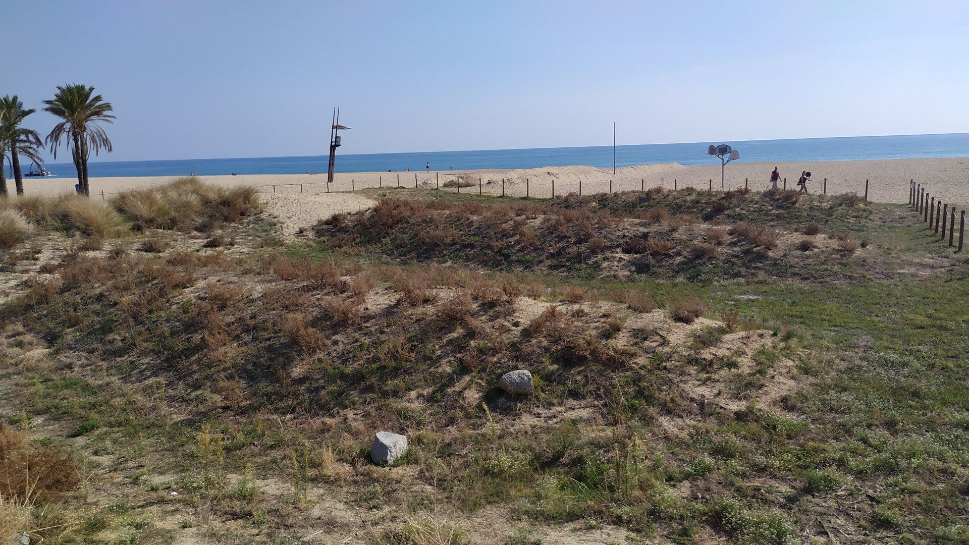 Las dunas de la playa del Varadero. Foto: Ayuntamiento