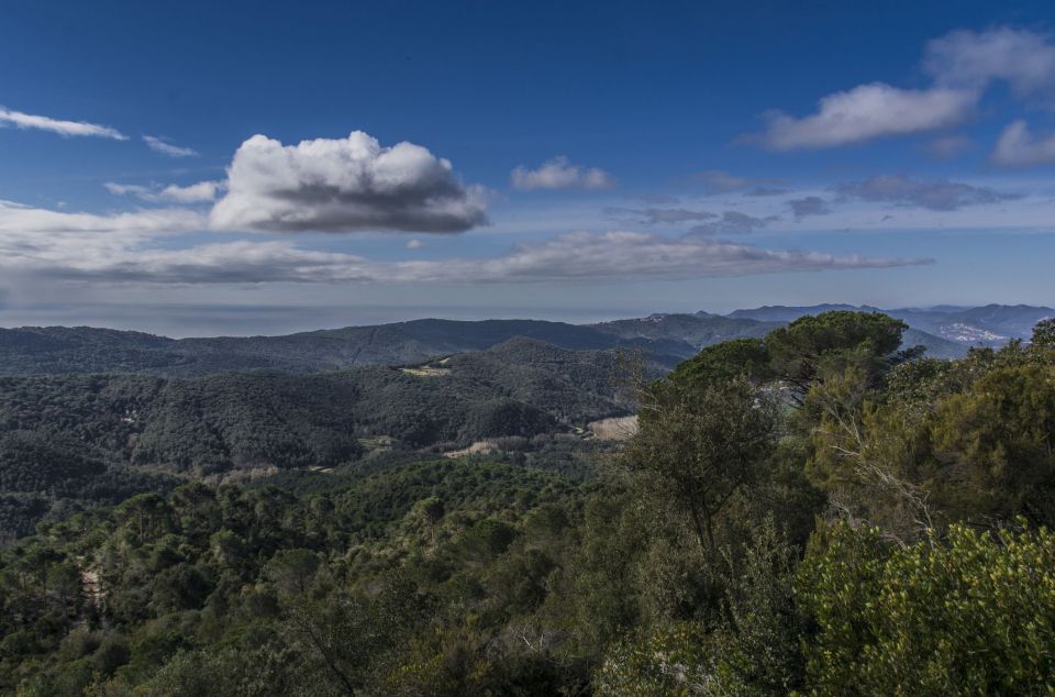 El Maresme vist des del Montnegre