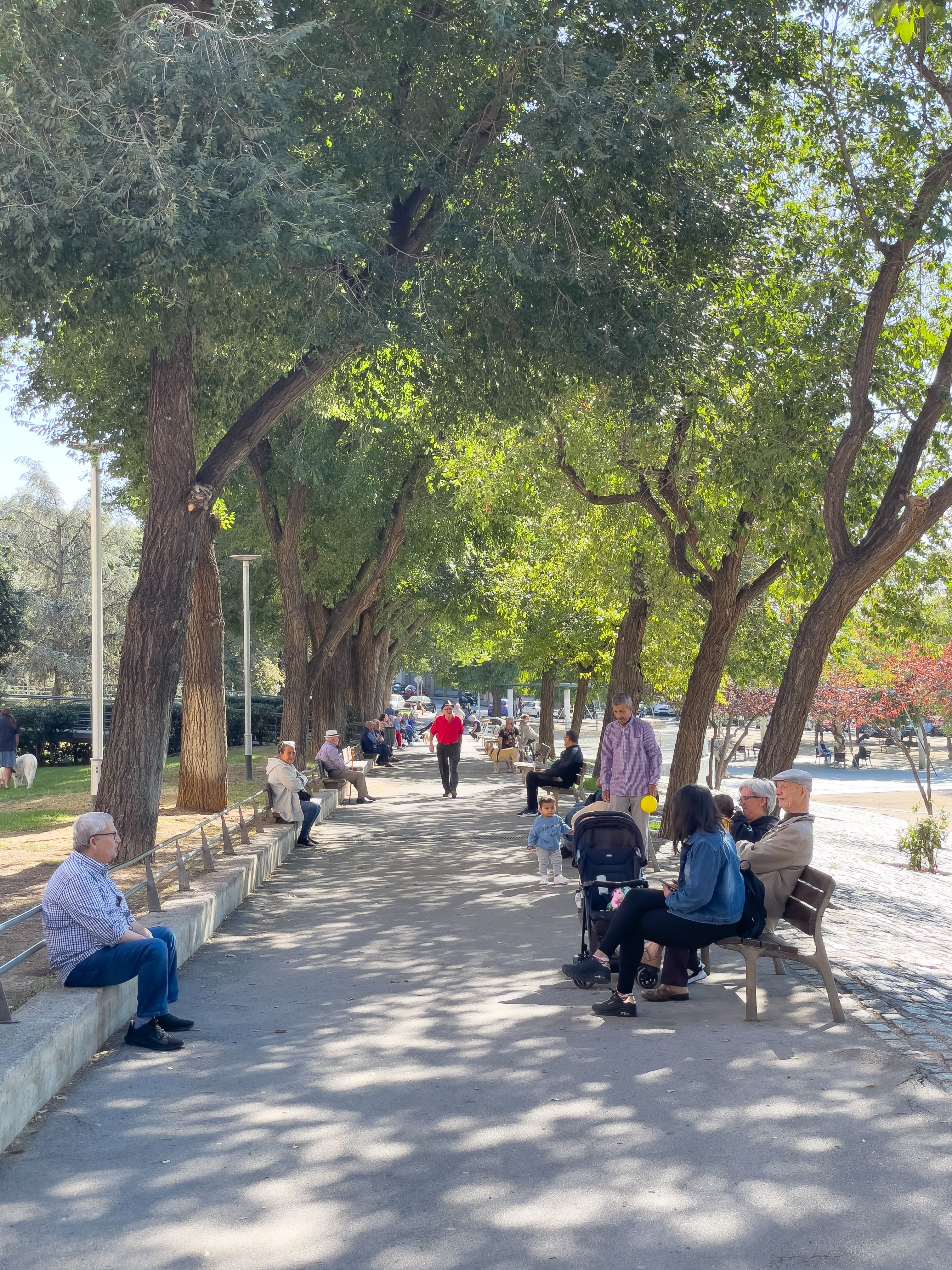 Parc de Can Tuñi a Cerdanyola. Foto: R.Gallofré