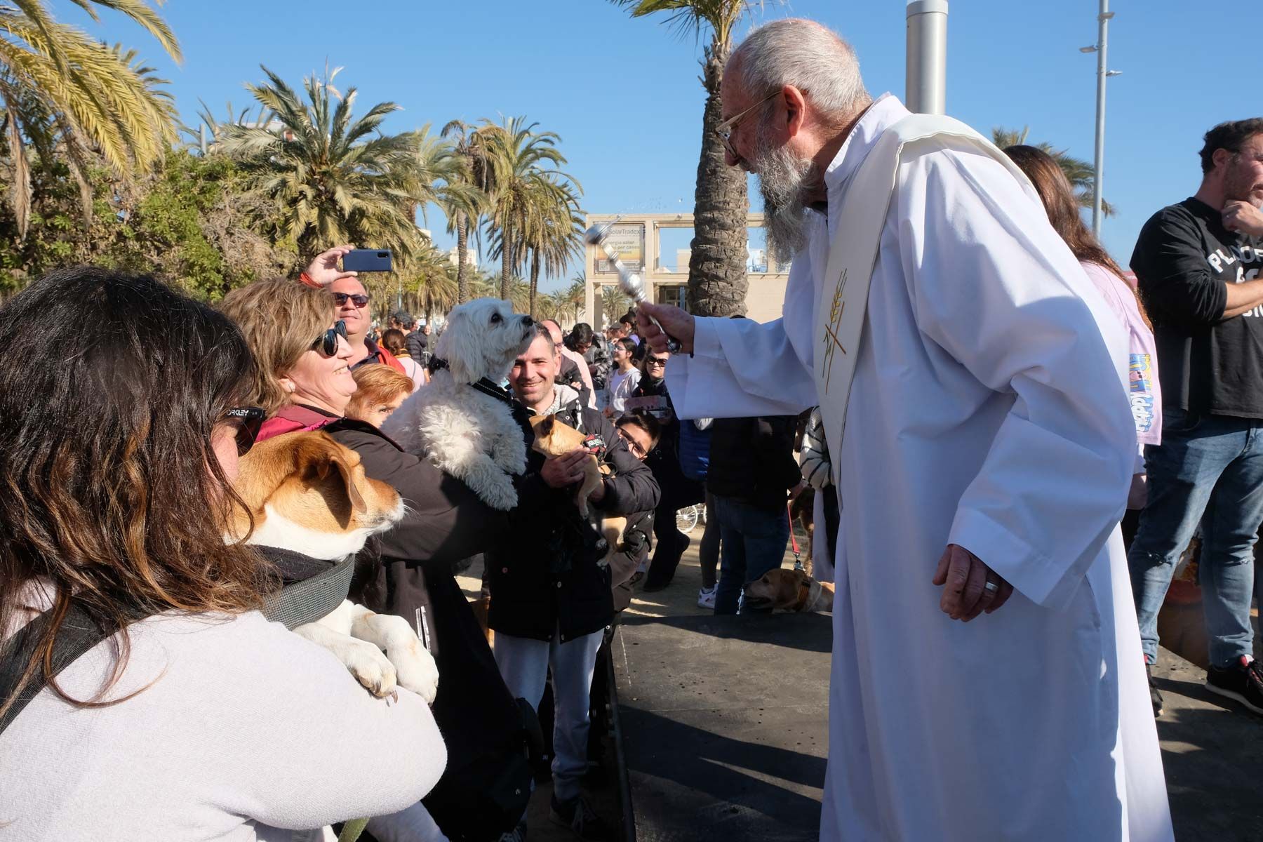 Tres Tombs 2023. Foto: C.Francés