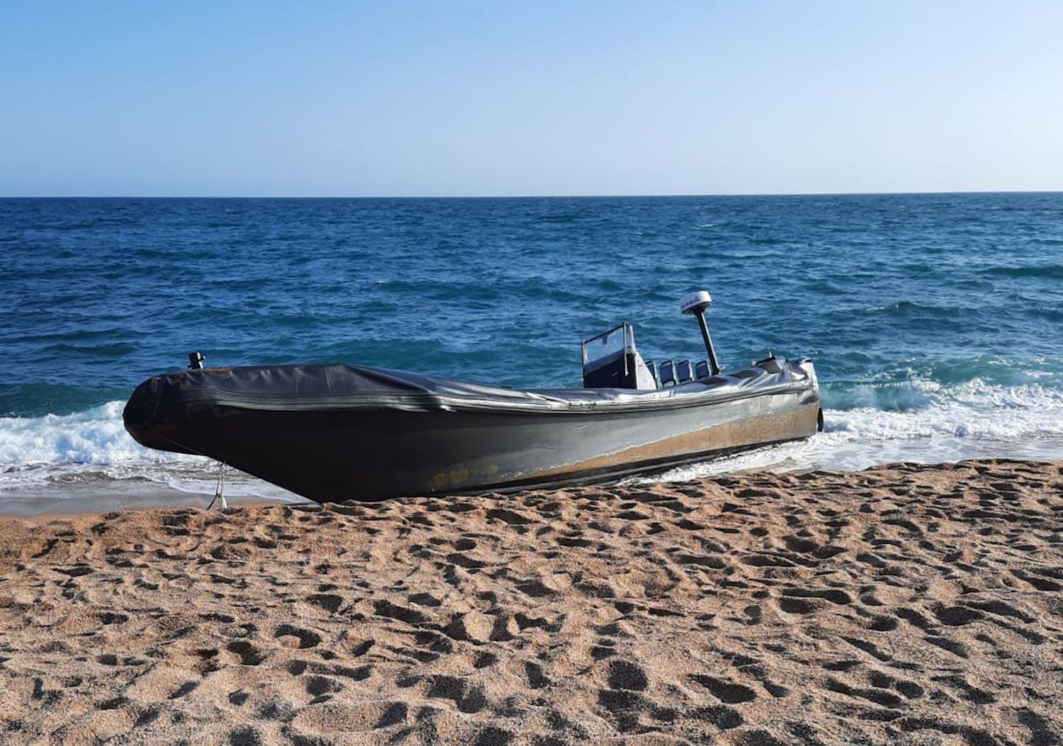 Narcollana a la platja de Sant Pol de Mar