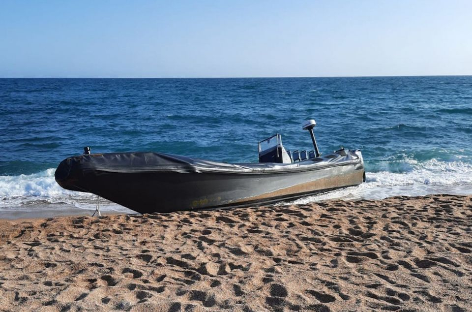 Narcollanxa a la platja de Sant Pol de Mar