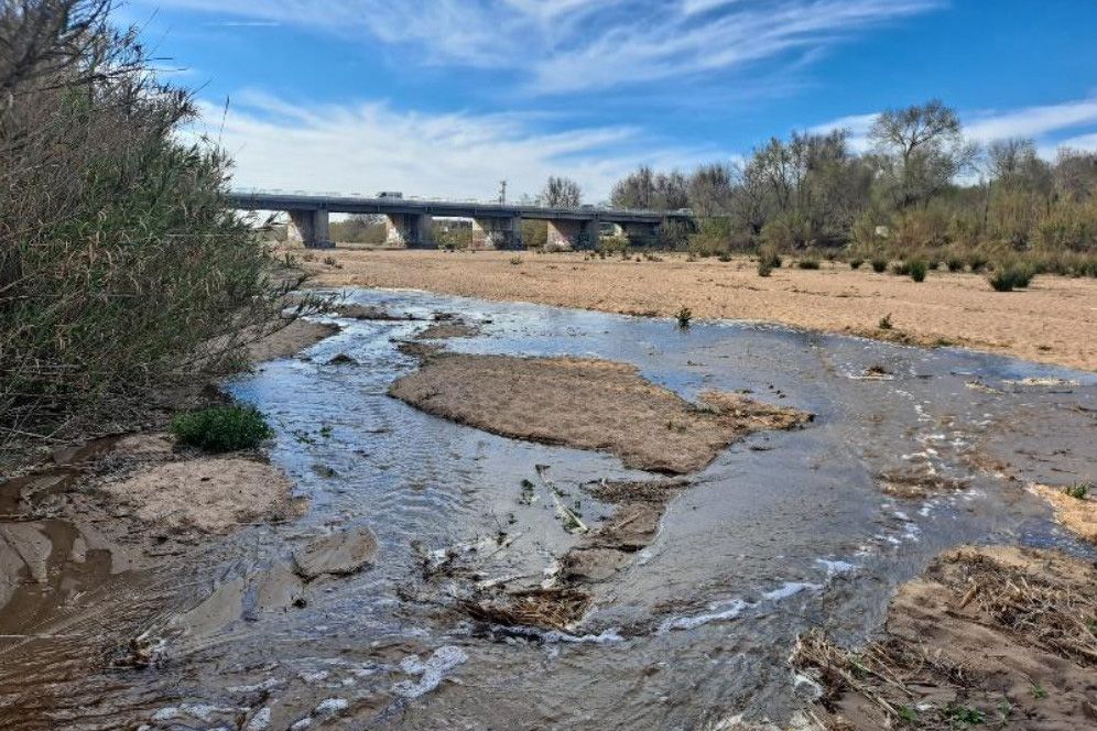 Riu Tordera amb aigua