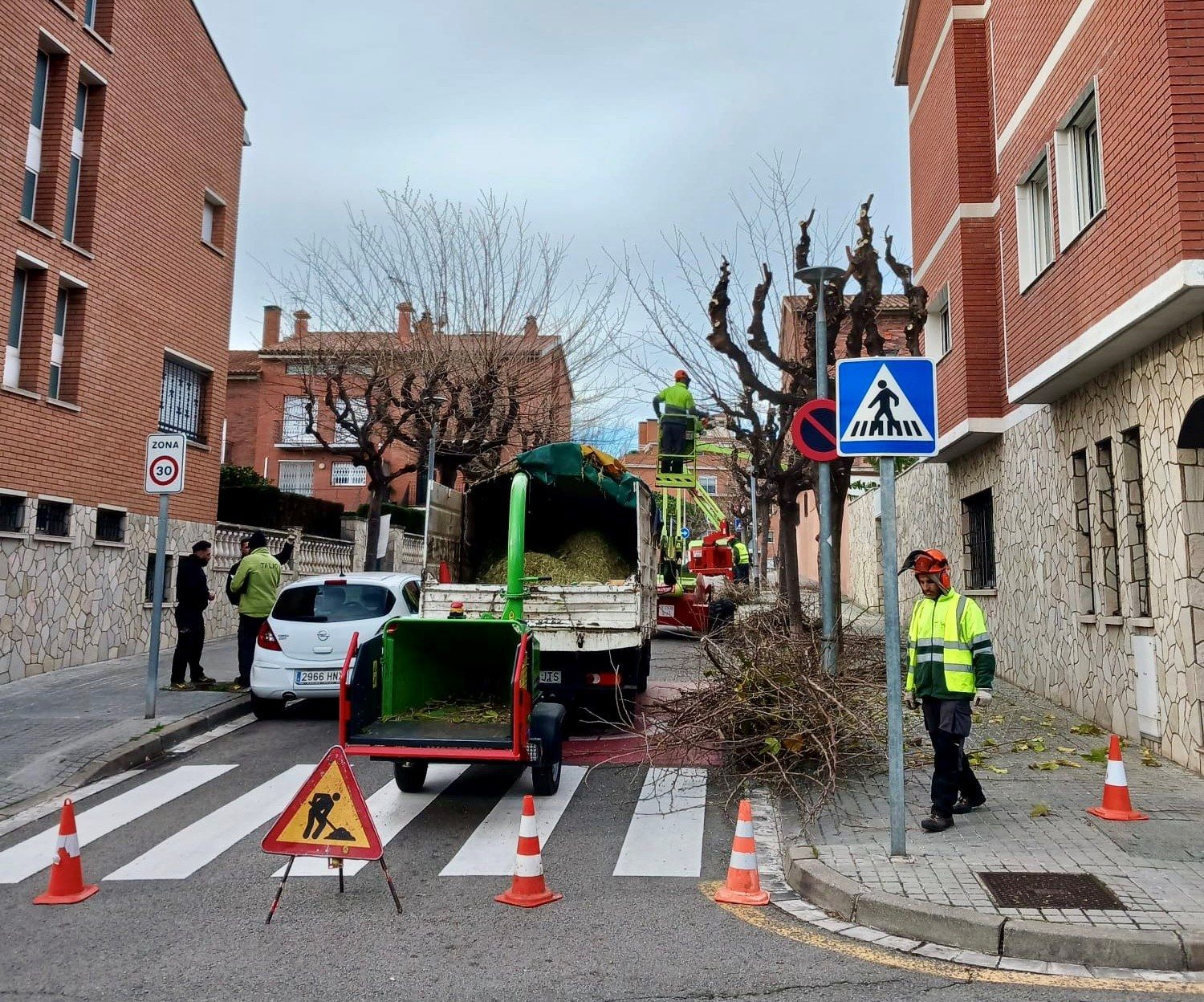 Campanya de poda d'arbres a Mataró. Foto: Ajuntament