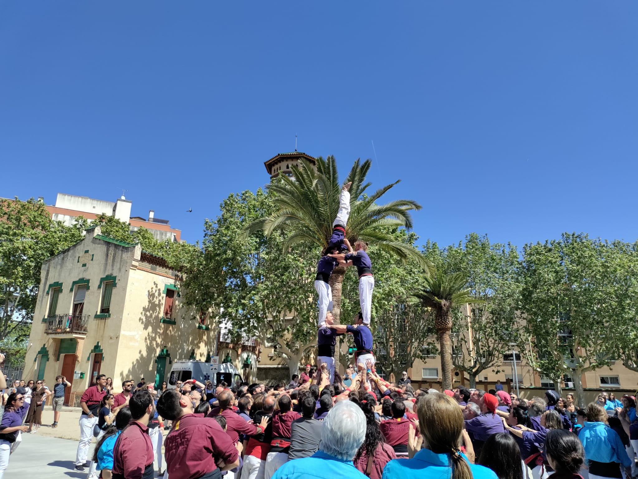 La figuereta a la torre de 7 al final de la clàssica. Foto. E. Casanova