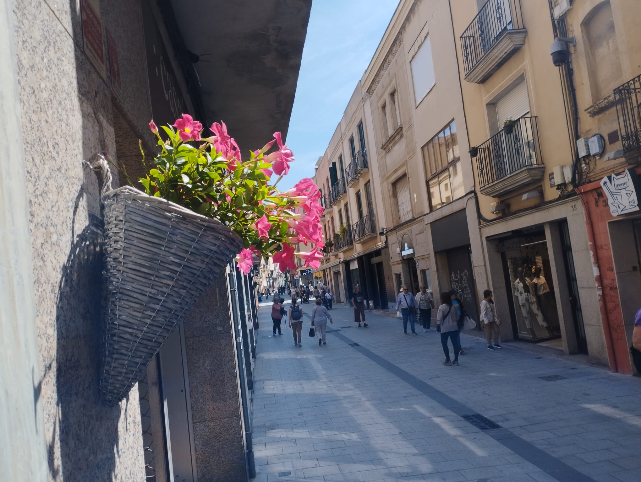 Flors al carrer Sant Josep