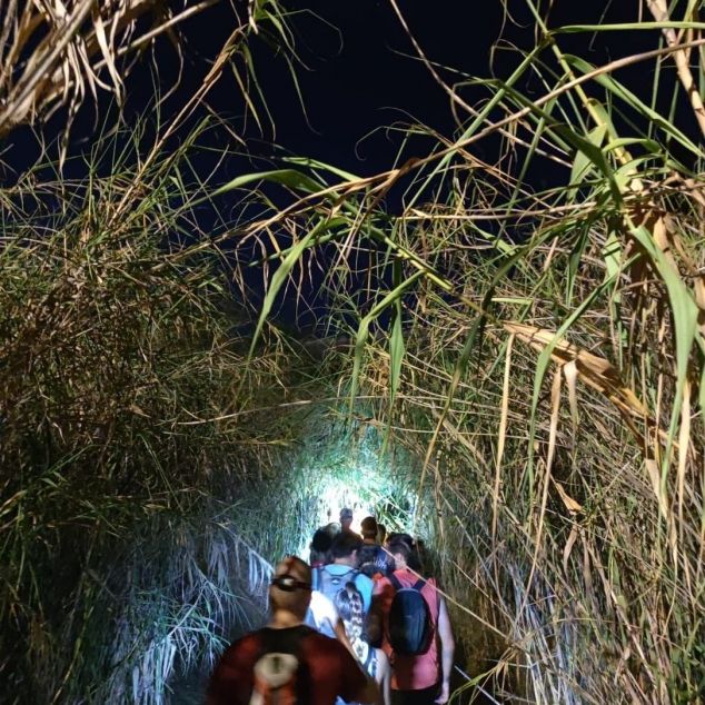 La Marxeta Nocturna de Les Santes