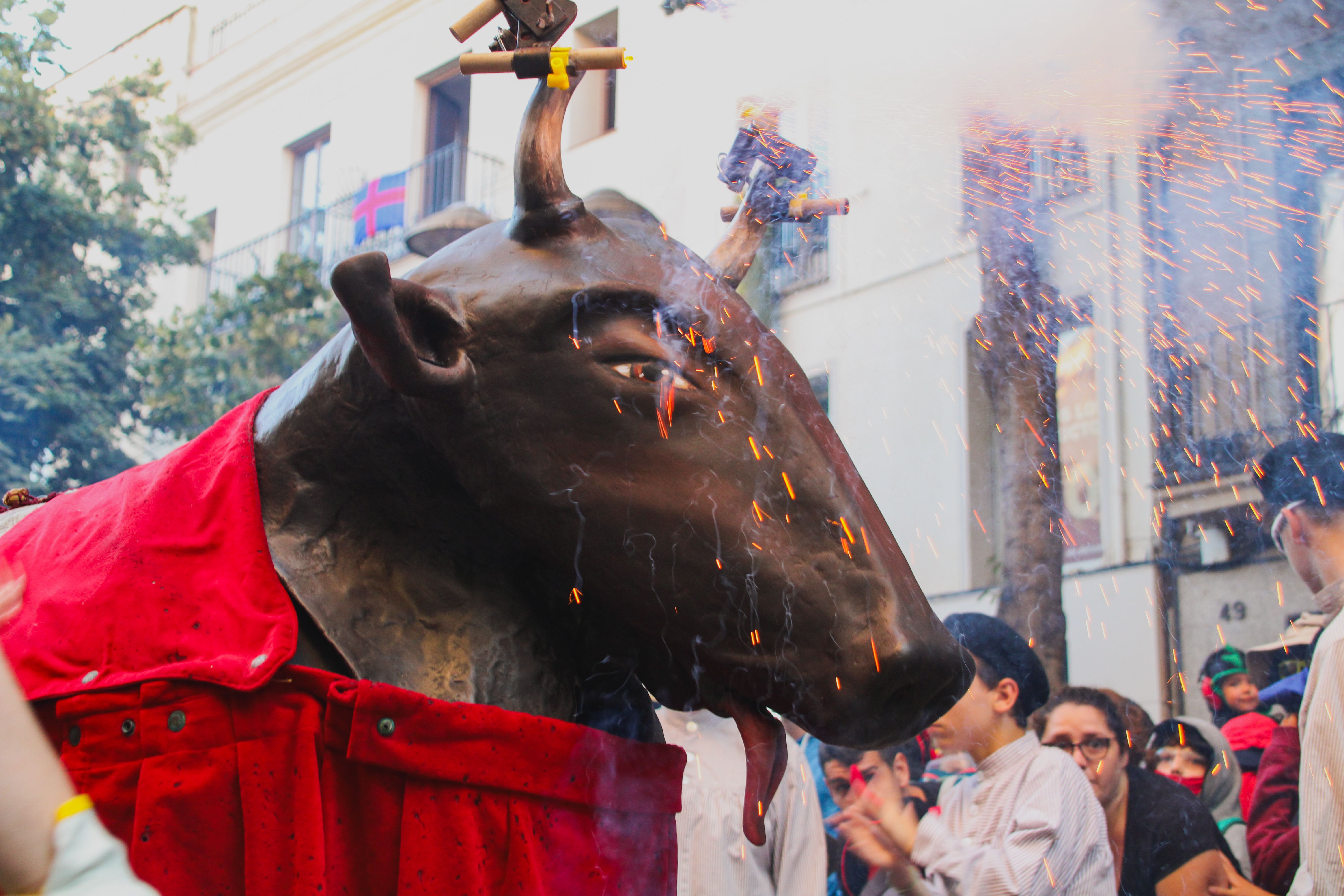 Anada a l'Ofici. Foto: Iker Morera