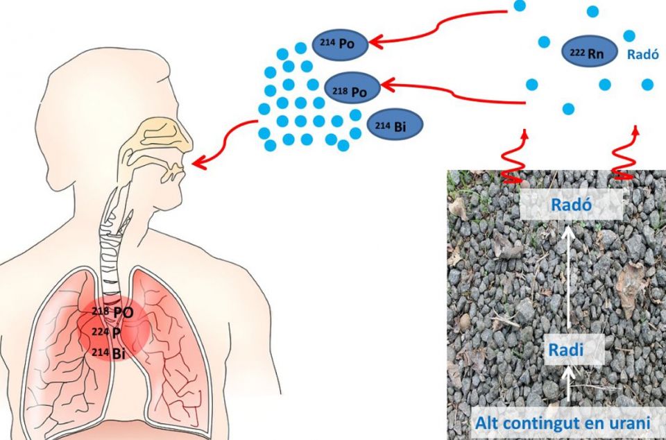 Efectes del gas radó en la salut