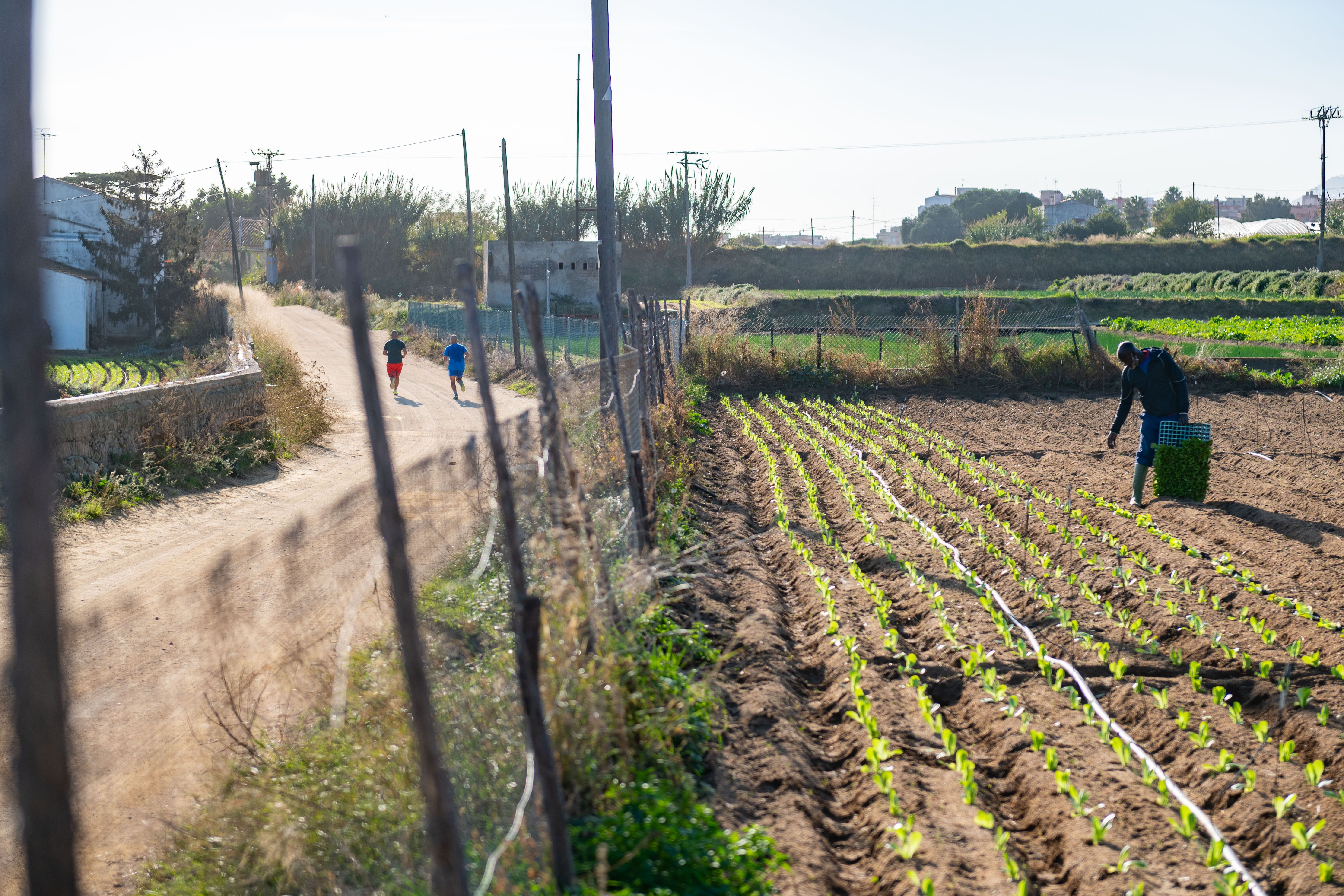 transformació agrícola