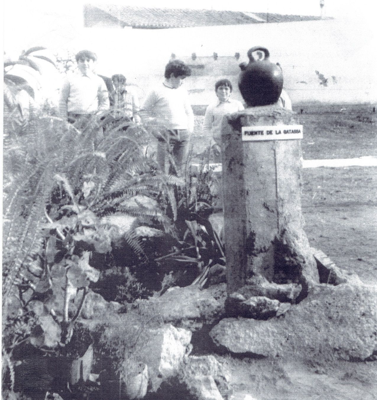 Una imatge de l'anomenada "Font de la Gatassa". Font: Centre de Documentació Històrica de Cerdanyola