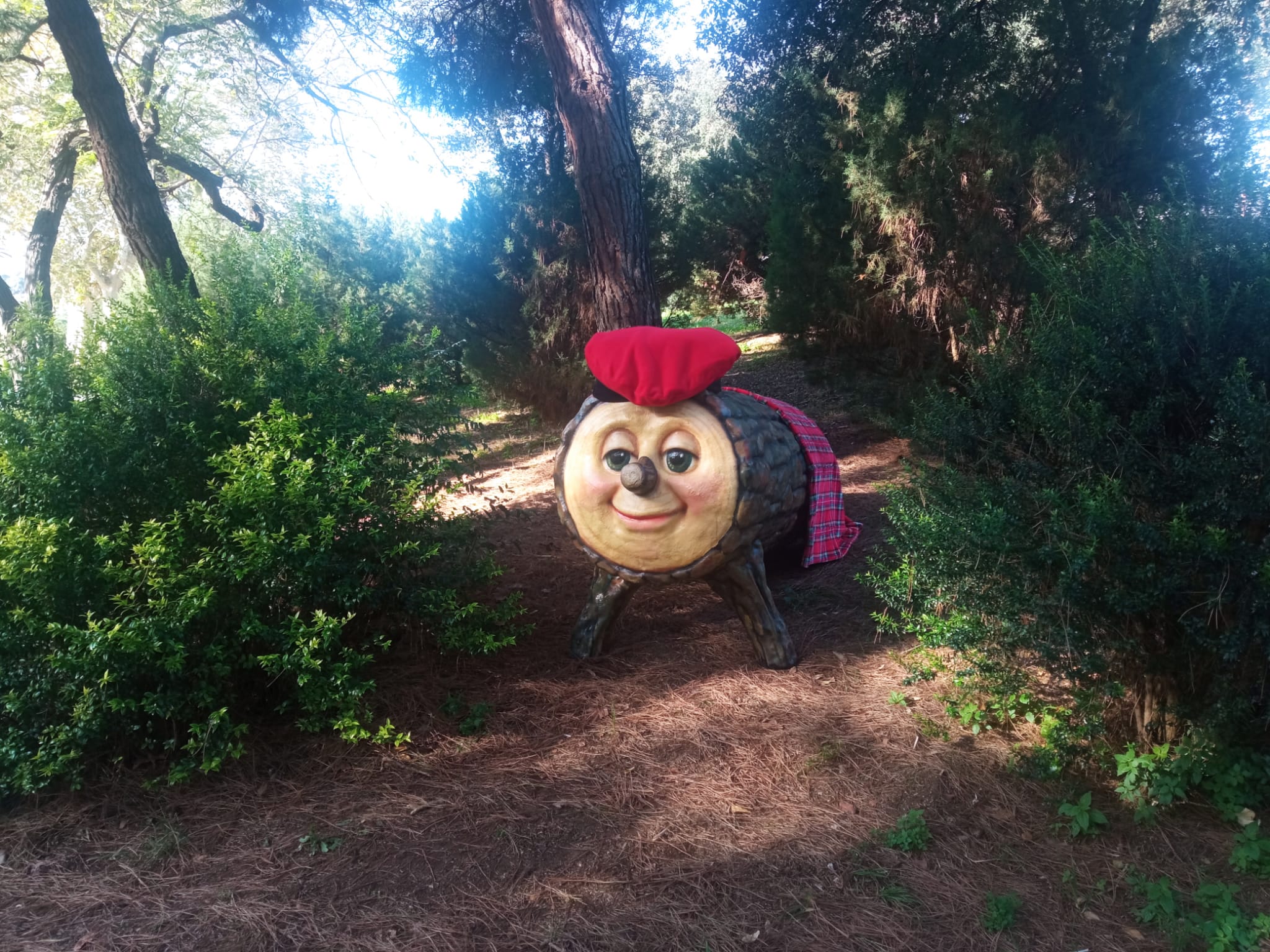 Un Tió gegant i el seu bosc lluiran a la Plaça de Santa Anna