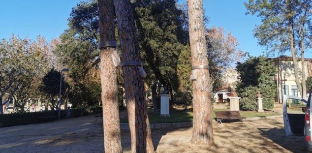 Caixes niu al Parc Central