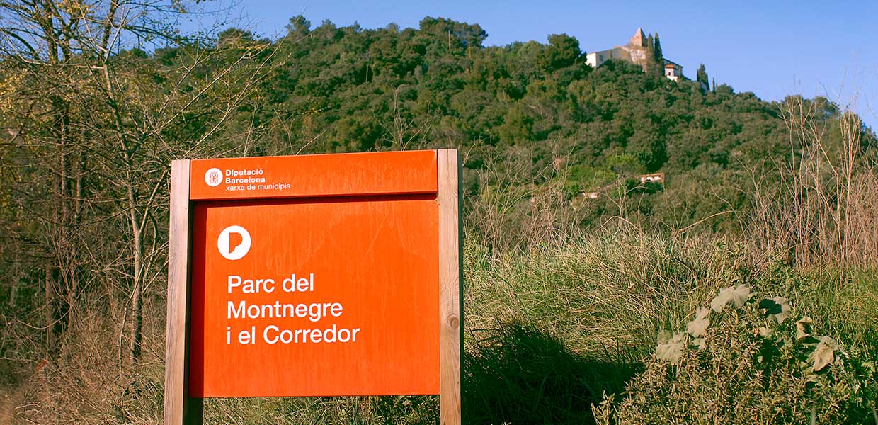 Parc del Montnegre i el Corredor