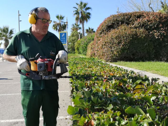 Servicio de jardinería puerto de Mataró 705x529