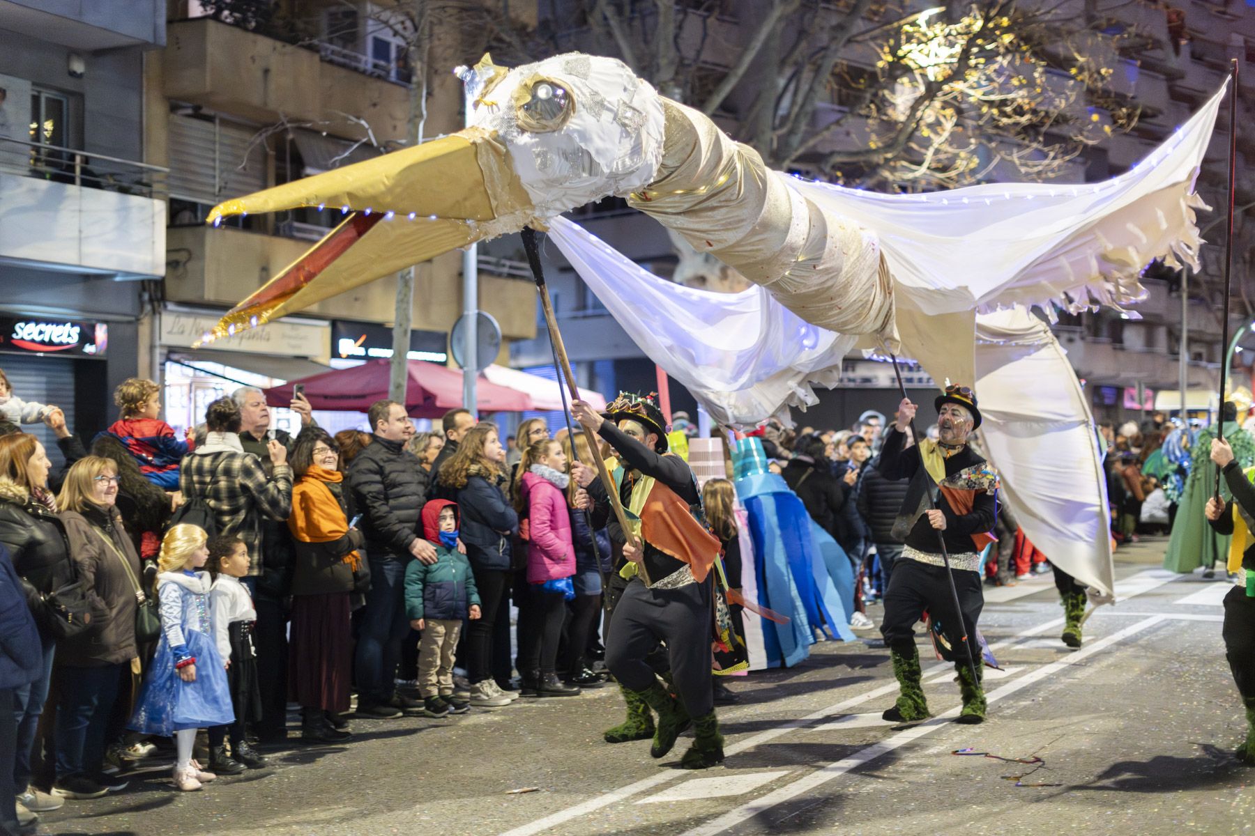 Rua de Carnestoltes 2025. Foto: R.Gallofré