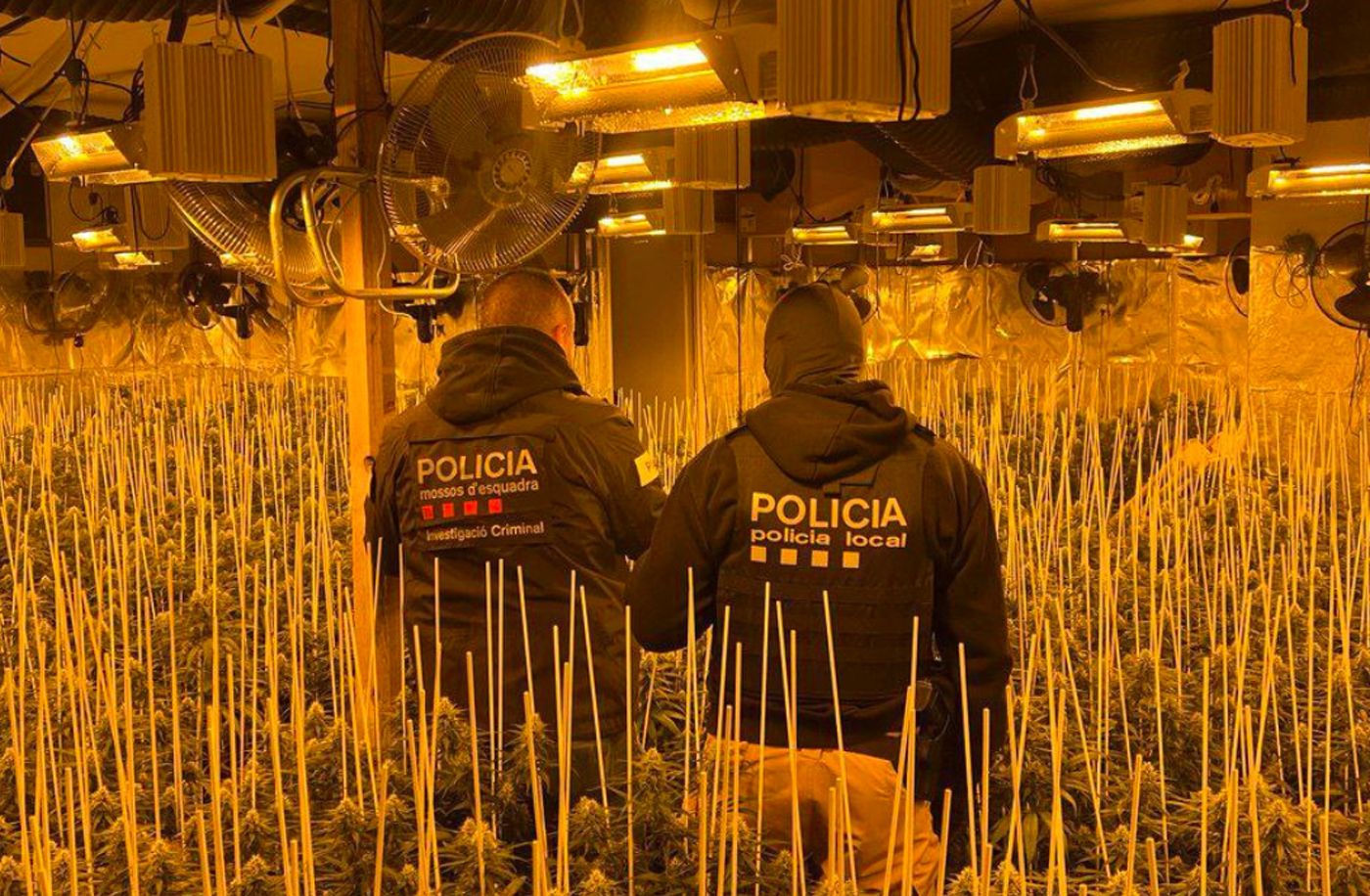 Mossos a la plantació del Maresme