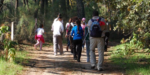 Caminata popular