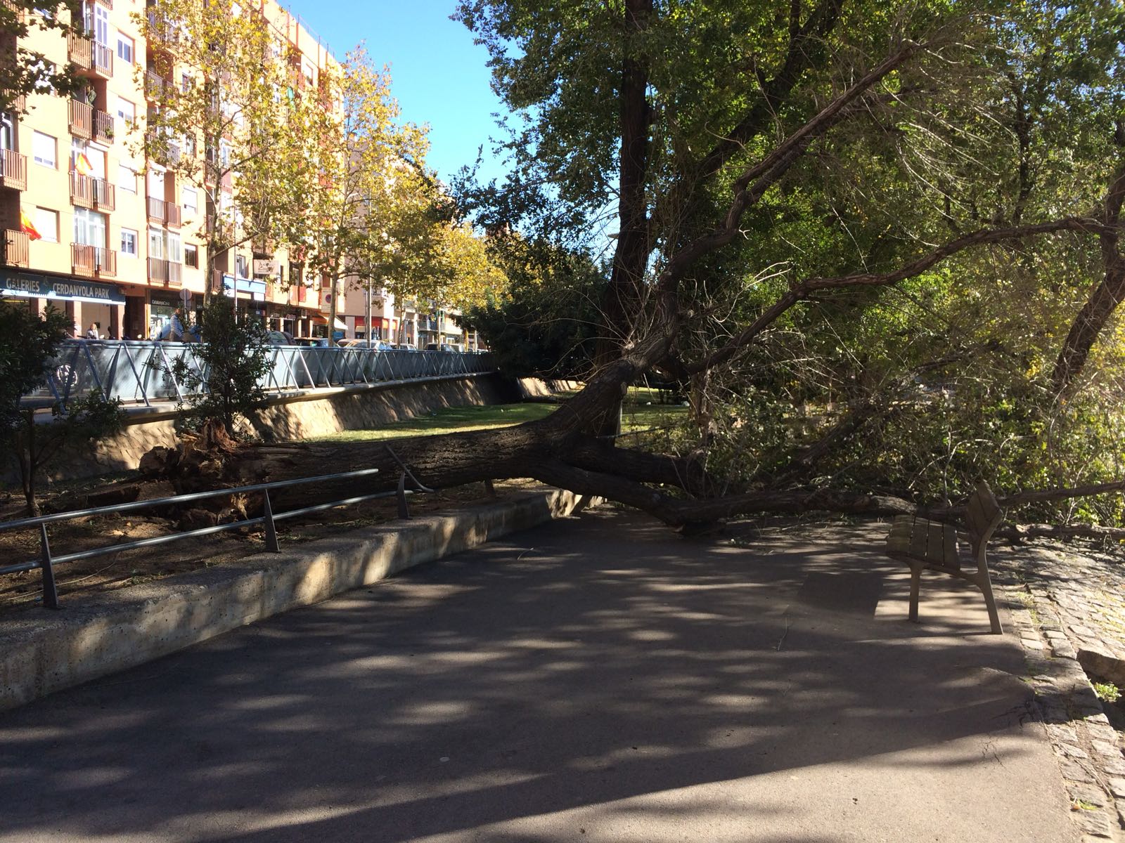 Alerta Pel Fort Vent A Mataro I El Maresme