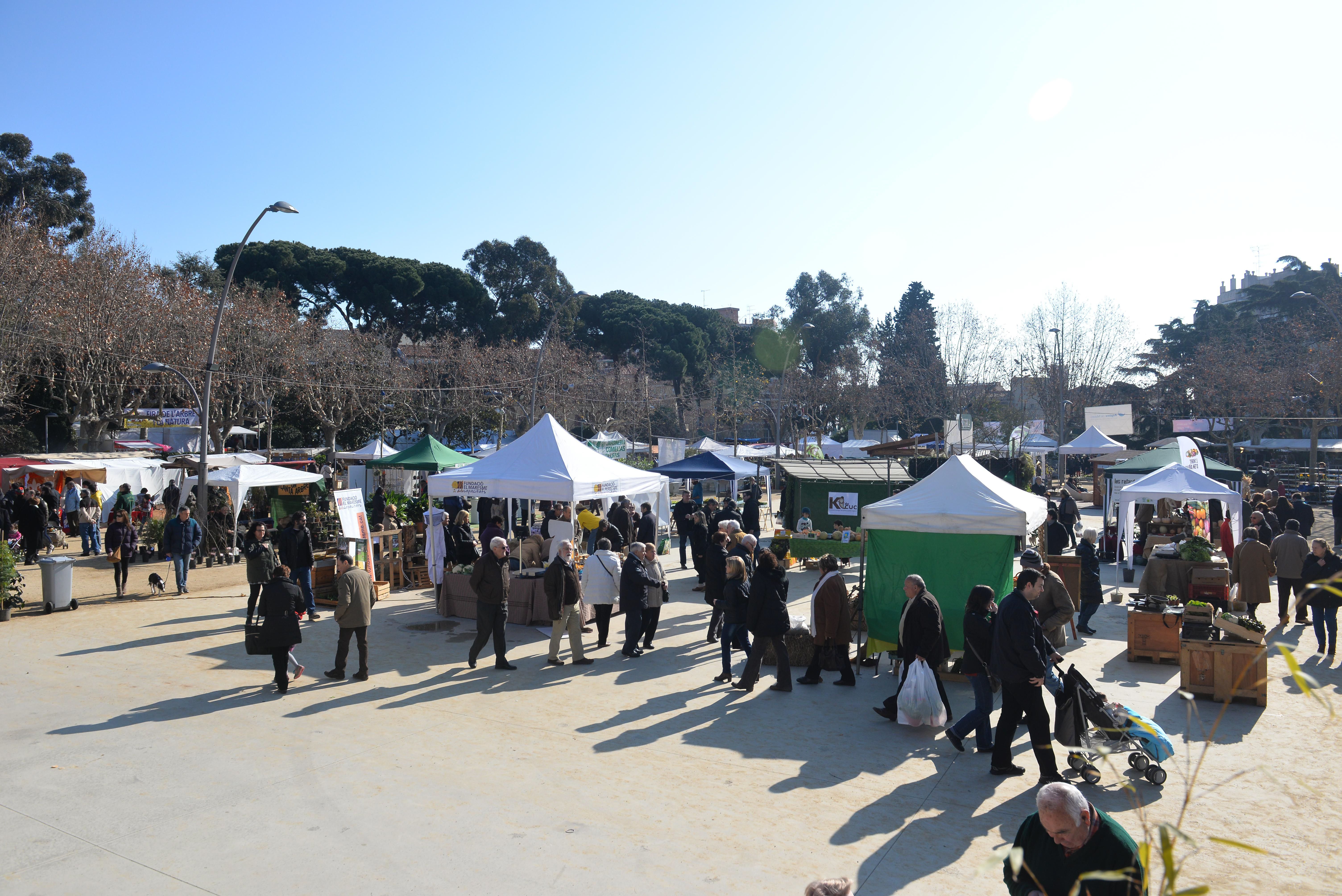 Vista de la Feria del Árbol