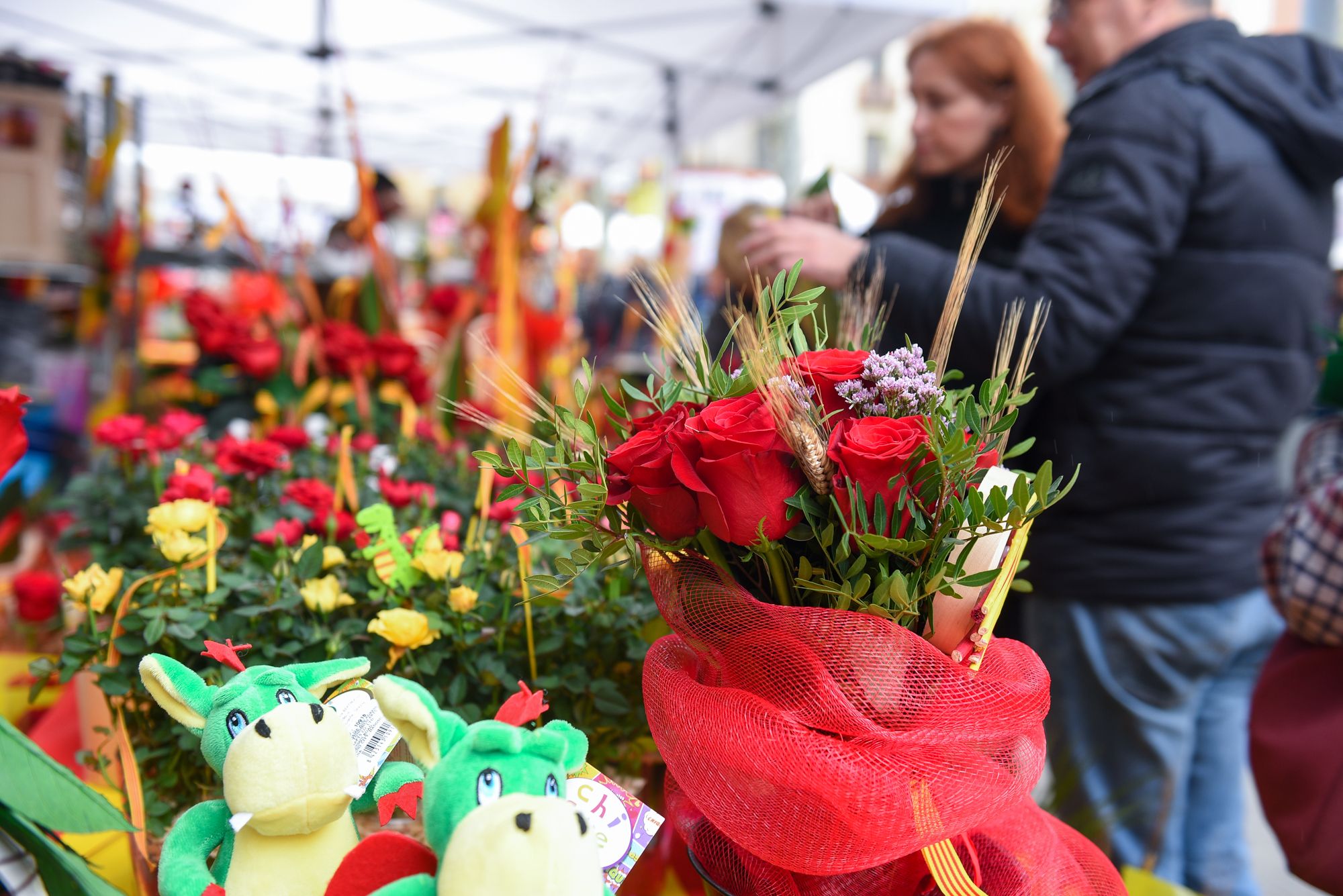 Parades de Sant Jordi 2019 | Foto: R.Gallofré