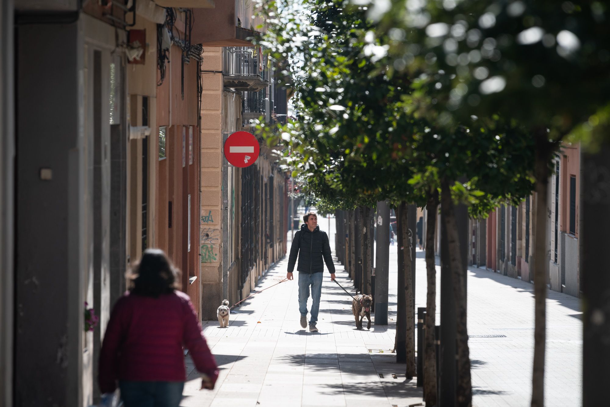 Paseando un perro por Mataró durante el confinamiento. Foto: R.Gallofré