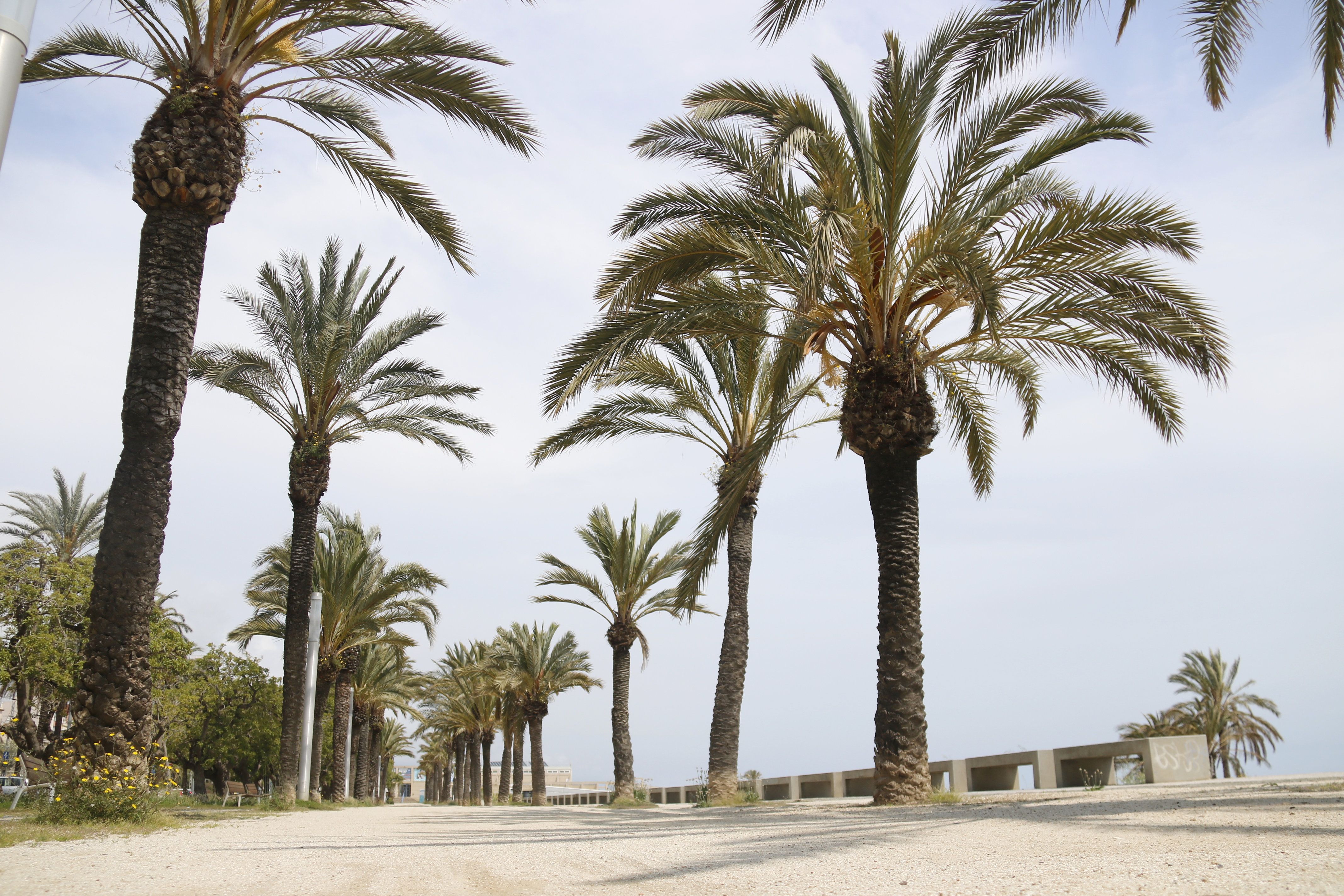 El Passeig Marítim de Mataró, l'únic tancat del Maresme. Foto: ACN