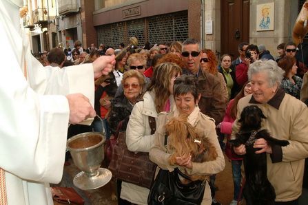 Imagen de la bendición de animales de la edición 2008 de los Tres Tombs